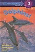 Dolphins!