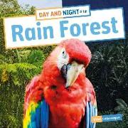 Day and Night in the Rain Forest