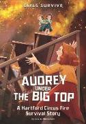 Audrey Under the Big Top