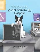 The Adventures of Carlos: Carlos Goes to the Hospital