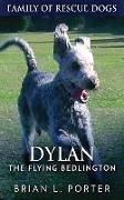 Dylan - The Flying Bedlington