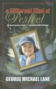 A Different Kind of Perfect: The Story of Parents' Choices and a Special Child's Blessings