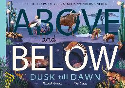 Above and Below: Dusk till Dawn