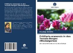 Fritillaria oranensis in den Tessala-Bergen (Westalgerien)