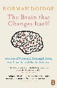 The Brain That Changes Itself