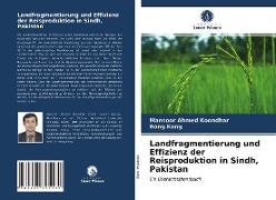 Landfragmentierung und Effizienz der Reisproduktion in Sindh, Pakistan