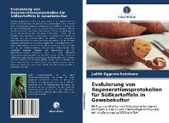 Evaluierung von Regenerationsprotokollen für Süßkartoffeln in Gewebekultur