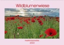 Wildblumenwiese Insektenparadies (Wandkalender 2022 DIN A2 quer)