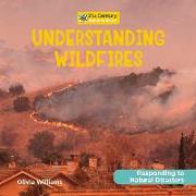 Understanding Wildfires