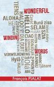 Wonderful Winding Words: Touring in Four Languages (Chinese, English, French, German)