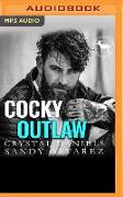 Cocky Outlaw: A Hero Club Novel