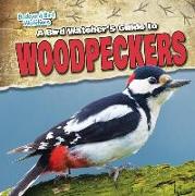 A Bird Watcher's Guide to Woodpeckers