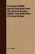 Common British Insects Selected from the Typical Beetles, Moths, and Butterflies of Great Britain
