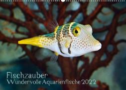 Fischzauber - Wundervolle Aquarienfische (Wandkalender 2022 DIN A2 quer)