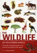 The Wildlife of Southern Africa