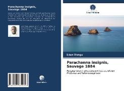 Parachanna insignis, Sauvage 1884