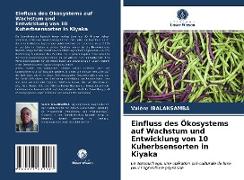 Einfluss des Ökosystems auf Wachstum und Entwicklung von 10 Kuherbsensorten in Kiyaka