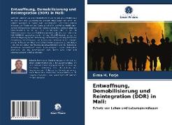 Entwaffnung, Demobilisierung und Reintegration (DDR) in Mali
