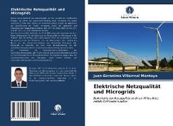 Elektrische Netzqualität und Microgrids