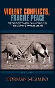 Violent Conflicts, Fragile Peace