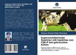 Superovulatorische Reaktion mit Injektion von FSH-P bei gekreuzten Kühen