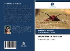 Bockkäfer in Pakistan