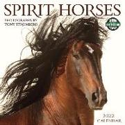 Spirit Horses 2022 Wall Calendar