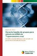 Caracterização de grupos para estudo do kDNA de Trypanossoma cruzi