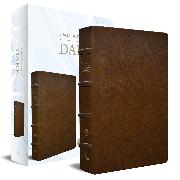 RVR 1960 Biblia de estudio Dake, tamaño grande, piel marrón / Spanish RVR 1960 D ake Study Bible, Large Size, Brown Leather