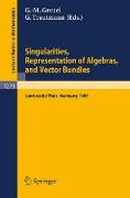 Singularities, Representation of Algebras, and Vector Bundles