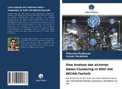 Eine Analyse des sicheren Daten-Clustering in WSH mit BECAN-Technik