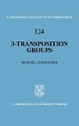 3-Transposition Groups