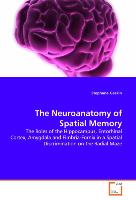 The Neuroanatomy of Spatial Memory
