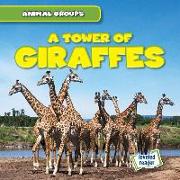 A Tower of Giraffes