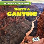 That's a Canyon!