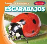 Escarabajos (Beetles)