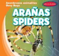 Arañas / Spiders