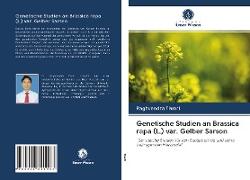 Genetische Studien an Brassica rapa (L.) var. Gelber Sarson