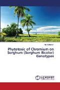 Phytotoxic of Chromium on Sorghum (Sorghum Bicolor) Genotypes