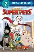 DC League of Super-Pets (DC League of Super-Pets Movie): Includes Over 30 Stickers!