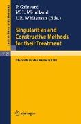 Singularities and Constructive Methods for Their Treatment