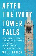 After the Ivory Tower Falls