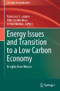 Energy Issues and Transition to a Low Carbon Economy