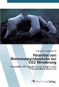 Potential von Biomassepyrolysekoks zur CO2 Minderung