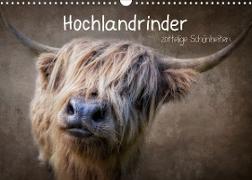 Zottelige Schönheiten - Hochlandrinder (Wandkalender 2022 DIN A3 quer)