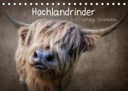 Zottelige Schönheiten - Hochlandrinder (Tischkalender 2022 DIN A5 quer)