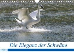 Die Eleganz der Schwäne (Wandkalender 2022 DIN A4 quer)