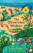The Observant Walker
