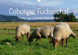 Coburger Fuchsschaf (Wandkalender 2022 DIN A3 quer)
