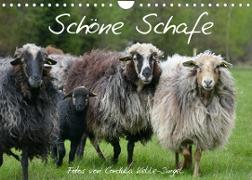 Schöne Schafe (Wandkalender 2022 DIN A4 quer)
